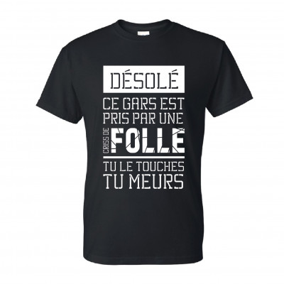T-Shirt modèle "Femme Folle" 